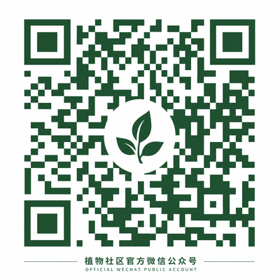 母狗公众号二维码